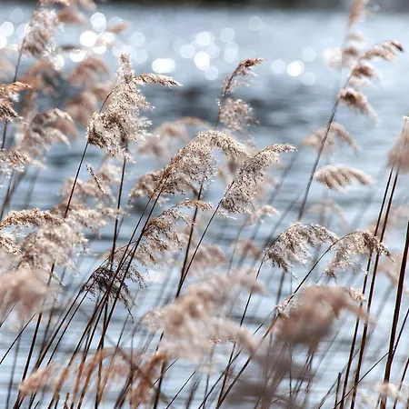 Apartament Gaestehaus Am Fischerweg Vilmblick Lauterbach (Rugen)