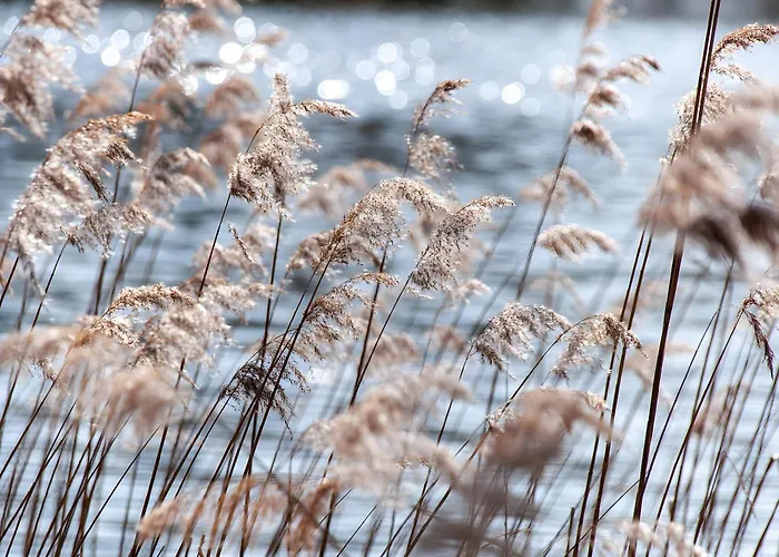 Apartament Gaestehaus Am Fischerweg Vilmblick Lauterbach (Rugen)